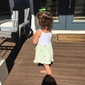 Green and pink flamingo dress